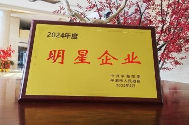 新春新景新气象 | 710公海线路检测纸业在平湖三干大会上喜摘荣誉！
